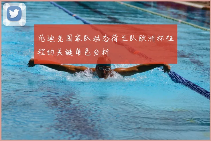 范迪克国家队动态荷兰队欧洲杯征程的关键角色分析