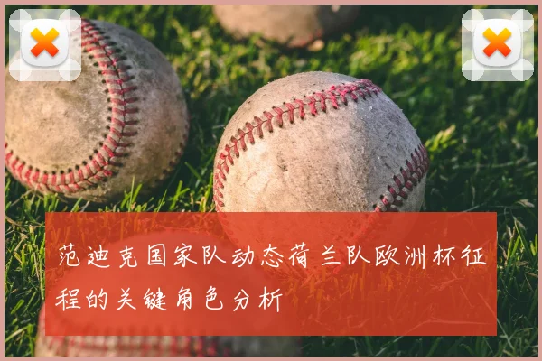 范迪克国家队动态荷兰队欧洲杯征程的关键角色分析