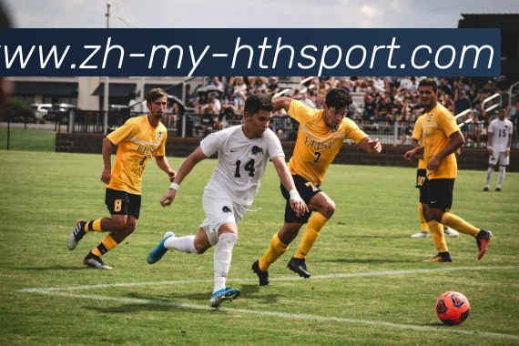 辅助工具 辅助工具